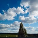 멍!구름 이미지