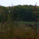 중랑캠핑숲 이미지