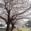 광양읍 서천체육공원 이미지