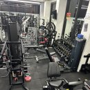 노익스짐 이미지