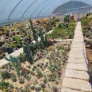 최지원 농장 이미지