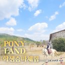 법인포니랜드