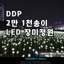 장미정원 이미지