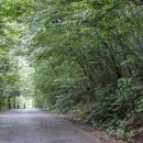 남해-175 이미지