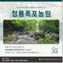 숲속농원민박 이미지