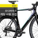 (주)오디바이크