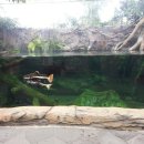 서천생태공원 이미지