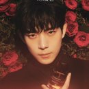 김영대 카카오 검색결과