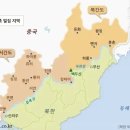 최동규 | [현대소설] 안수길 - <북간도>