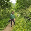 후기: 20250607 이제는 초여름길로 접어드는 마지막 연둣빛 숲 대관령 국민의숲길 이미지