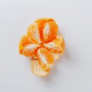 노지하우스 이미지