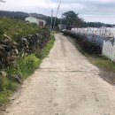 서호동-46 Daum카페