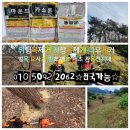 차이마취통증의학과의원 네이버블로그