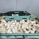 석성농장 이미지