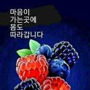 소서 이미지