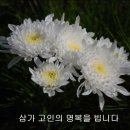 주안영안실