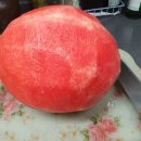 지누농장 이미지