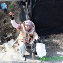 용남해안길 이미지