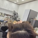 대일초등학교 | 용인 살롱서화 미용실 염색 후기 붉은기 없이 차분한 블루그린 브라운