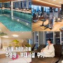 인발란스사우나 | 노보텔 동대문 수영장 사우나 키즈존 루프탑 야외 수영장 헬스장 이용시간 예약 복장