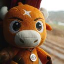 봄나드리투어 이미지