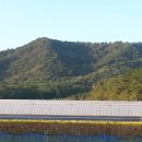 기능성머쉬영농조합법인 이미지