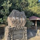 지미봉주차장 | 제주도 지미봉 갔다 온 솔직 후기 주차, 코스 정보