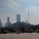 더그린 행정사 사무소 이미지