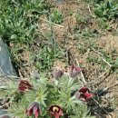 삼동농장 이미지