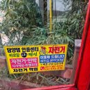 섬진강종주2 이미지