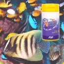 푸른사료 이미지