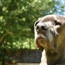 고대1121 이미지