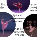 발레베리떼 이미지