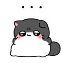 리리투 이미지