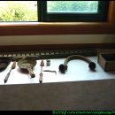 쇠똥구리마을 이미지