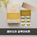 뽀얀피부만들기 | 칙칙한피부 탈출? 셀비오라 글루타비론으로 화잘먹 만들기 1주일 후기