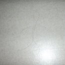 춤추는머리카락 이미지