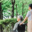 노인실버체조 이미지