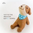 법륜스님의 희망편지 - 지금 이대로 괜찮은 사람 이미지