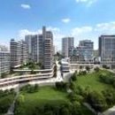 자유시장A-중앙 이미지