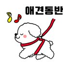 동검도노을캠핑장 이미지