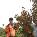 진영농장 이미지