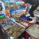 대안수산 이미지