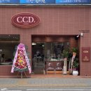 카페CCD 평택비전점 이미지