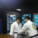 파라에스트라 이미지