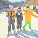 용인대 명인 태권도 이미지