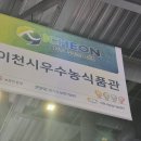 으뜸 복숭아 풍경 이미지