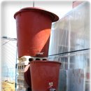 포에버농장 이미지