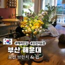 포션 | 해리단길 브런치 &amp; 펍 포션 해운대 솔직후기