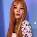 슬기비디오 이미지